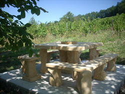 Table extérieure + bancs et tabourets (12 personnes)